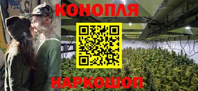 крисы Рыбинск