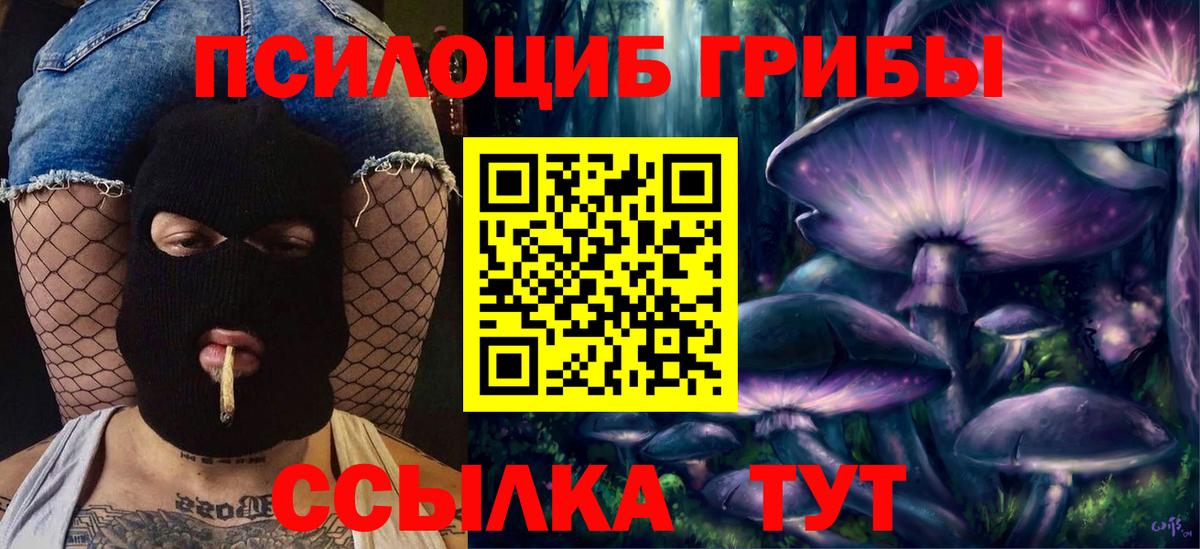 Сегежа  Псилоцибиновые грибы ЛСД  Вход с VPN 