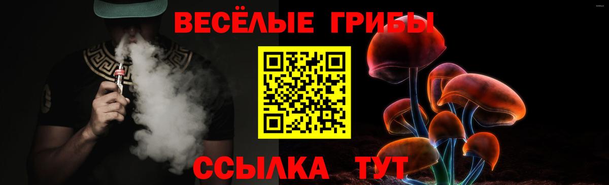 Псилоцибиновые грибы прущие грибы Сегежа